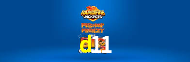 d11,d11.com